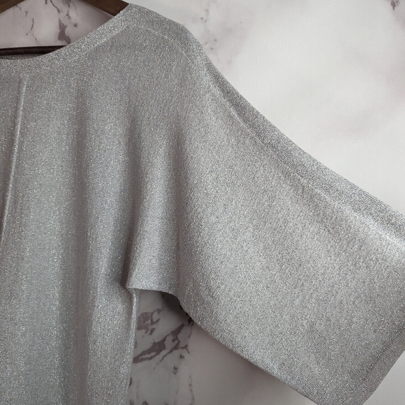 Talbots Short Sleeve Sweater Size Small Silver Sparkle Shimmer Metallic Knit Top - Picture 11 of 11